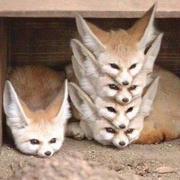 Sun79的个人资料头像