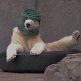 왕려나头像