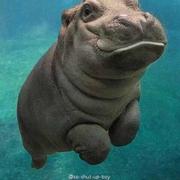 解念念1467683666000的个人资料头像