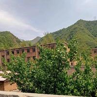 抖音段视频头像