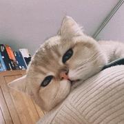 joeLy的个人资料头像