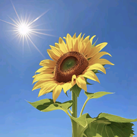 刘刘的幸福生活头像