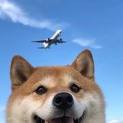 心悦卿兮的个人资料头像