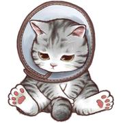 泡泡oO的个人资料头像