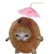 接着给我刷的个人资料头像