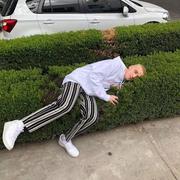 用户7295463262883的个人资料头像