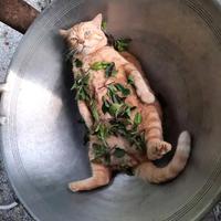 不聞不问0头像