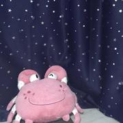 jeanne的个人资料头像