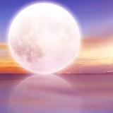 阿拉善君头像
