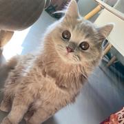 momoko461的个人资料头像