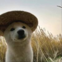 用户1620861518559头像