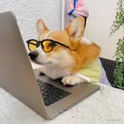 发量为0的个人资料头像