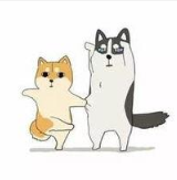 秋梨高的个人资料头像