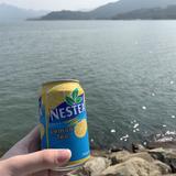 云朵飘飘爱奶茶头像