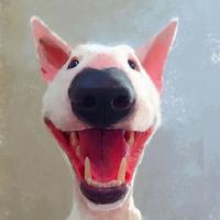 智者火车计时开始头像