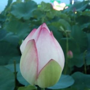 芬享精彩头像