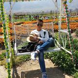 風清雲淡123头像