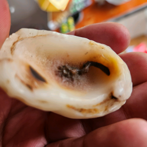 内蒙古石头哥头像