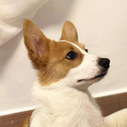 奔奔大蜗牛的个人资料头像