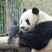 徐哈哈928头像