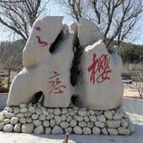 用户6494238762477头像