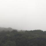 格8451头像