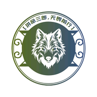 新能源货车砖家头像