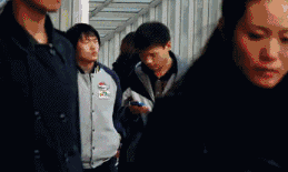 燕子飞来了的个人资料头像