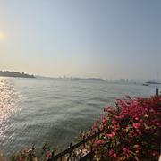 JCAdam的个人资料头像