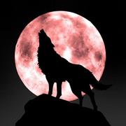 heilanggongjue的个人资料头像