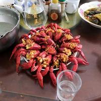 老酒爱美食头像