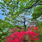 好人一生平安201的个人资料头像