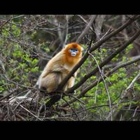 做个俗人9312头像