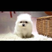 哇咔咔331的个人资料头像