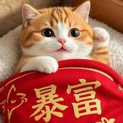 招财猫785的个人资料头像