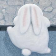 北枳1016的个人资料头像