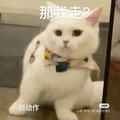 蝴蝶15头像