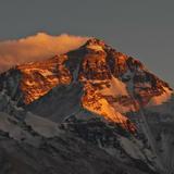 要风要海要free头像