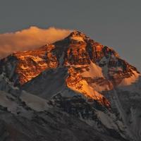 要风要海要free头像