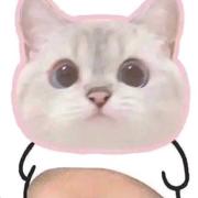 Rookie173的个人资料头像