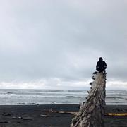 Jonathan439的个人资料头像