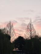 joker1125的个人资料头像