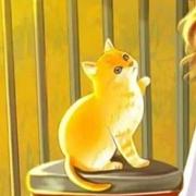 Surprise396的个人资料头像