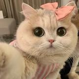 用户3259228381915头像