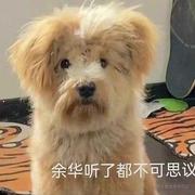 YourSQL的个人资料头像