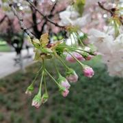 老衲一休的个人资料头像