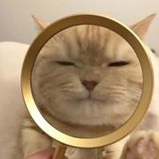 郁猫想吃火锅的个人资料头像