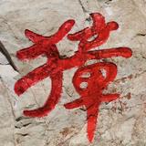 用户5535011904176头像