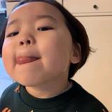 迷你小呼噜头像