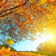 王凯君28763的个人资料头像